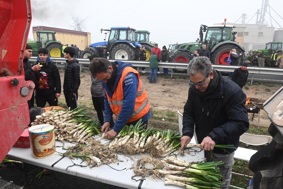 Agricultores catalanes protestan en Fondarella, en el Pla dUrgell (Lleida)