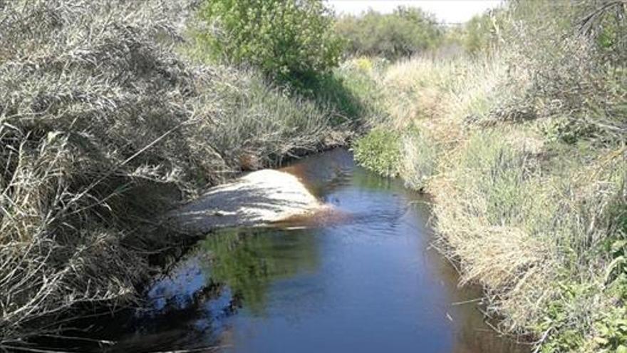 Denuncian un vertido en el río Cabra a su paso por la zona de Vado Castro