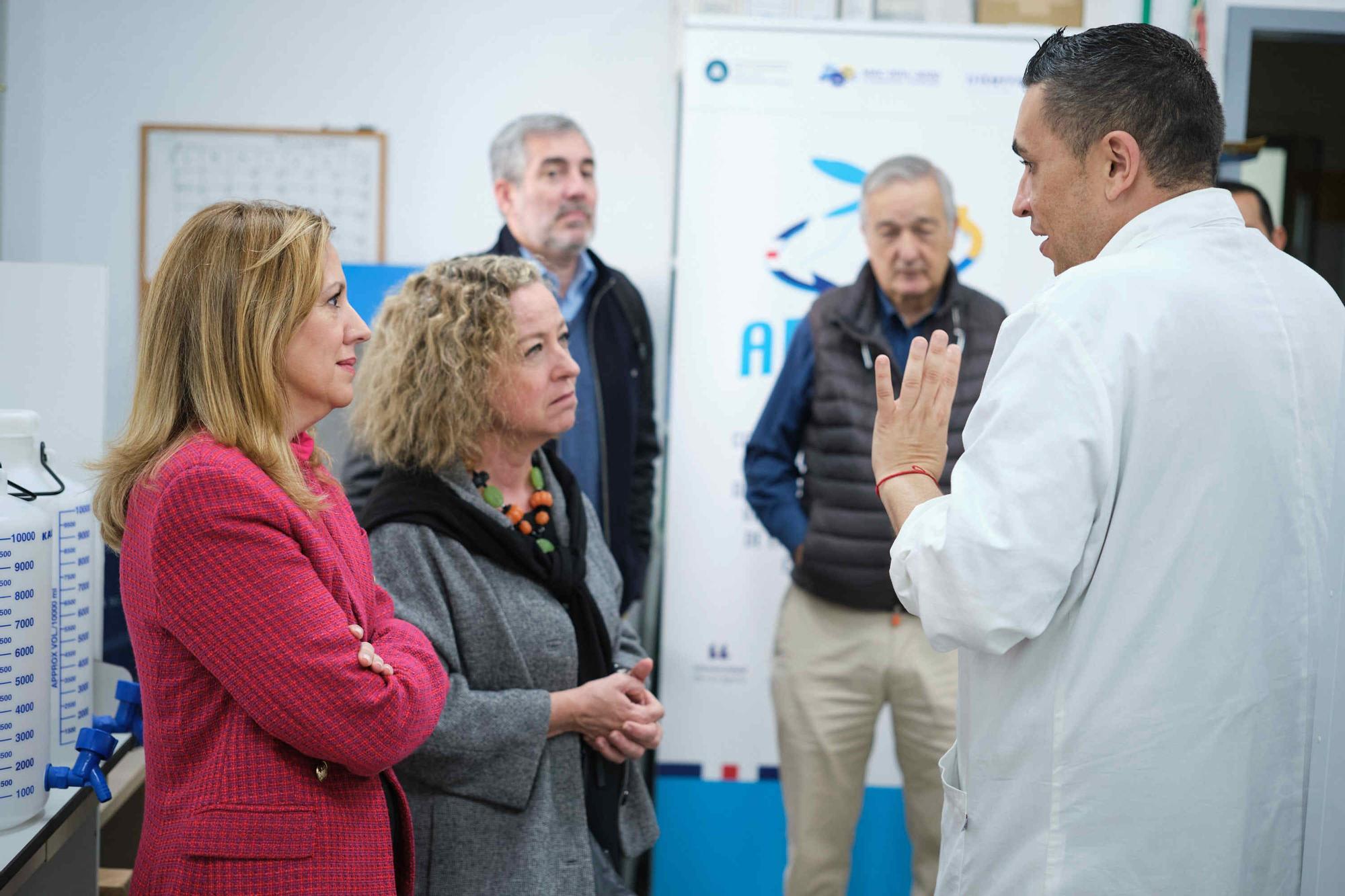 Fernando Clavijo visita el Instituto de Enfermedades Tropicales