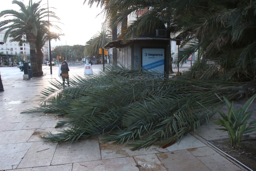 Temporal de viento y lluvia en Málaga