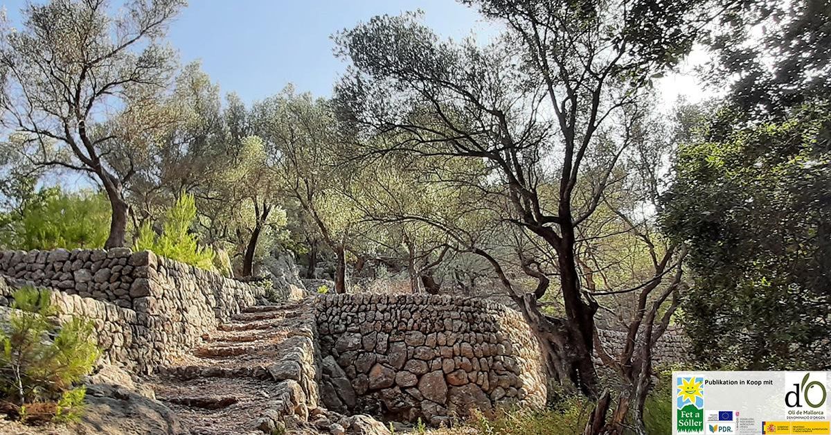 Dry stone walls – ancient technology that still works today