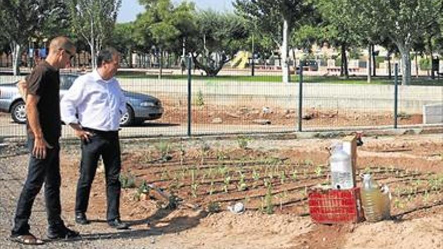 24 vecinos optan a 10 huertos urbanos