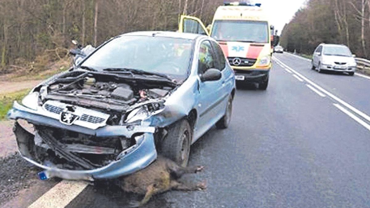 Un coche implicado en el atropello de un jabalí en una imagen de archivo.