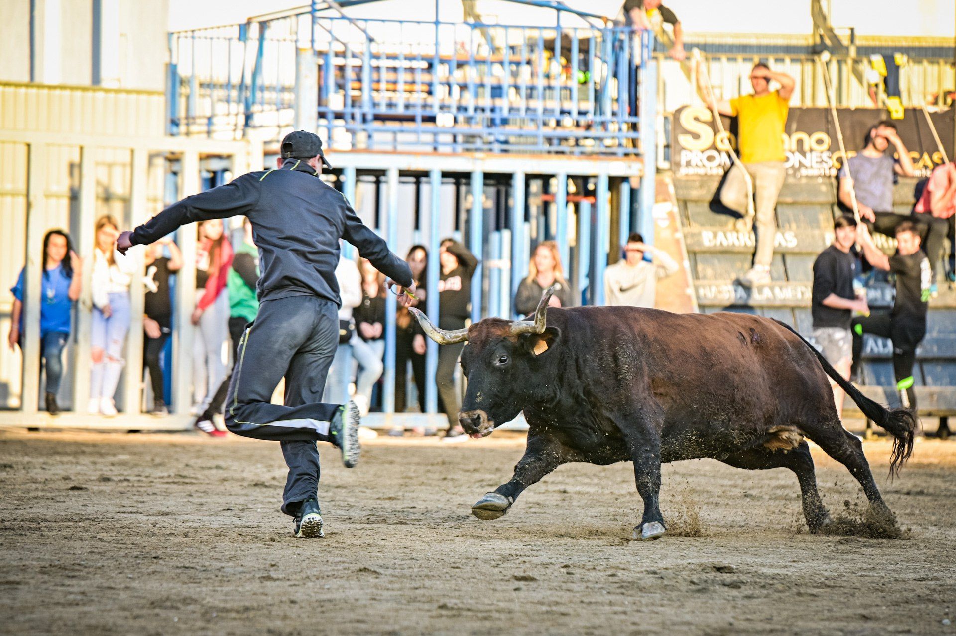 Resumen concurso ganaderías Pascua Taurina de Onda