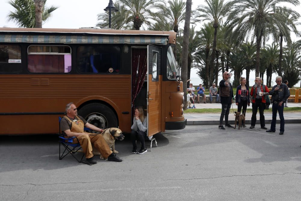 Torremolinos acoge hasta el domingo la 26ª edición del Festival Rockin' Race Jamboree.