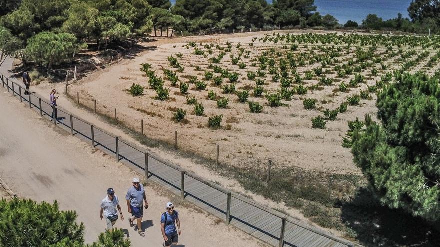 Usuarios del Parque Natural de las Lagunas alertan de disparos de cazadores