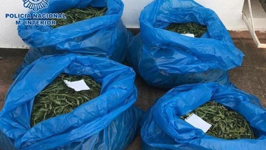 La Policía Nacional se incauta de más de 23 kilogramos de marihuana en Córdoba