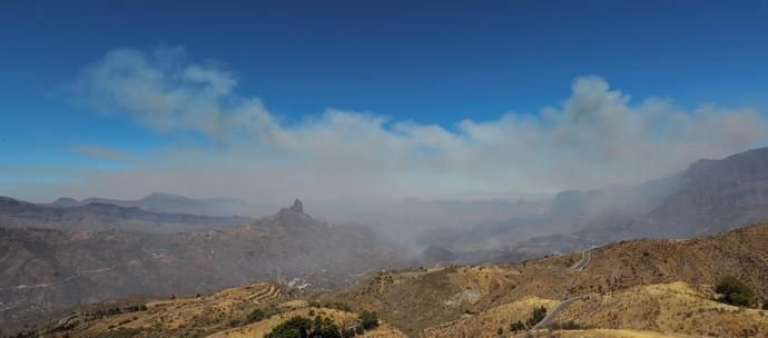 Incendio en Tejeda, Gran Canaria