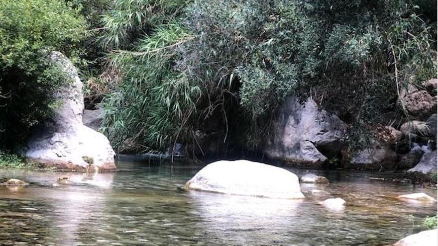 Gran piscina de la piedra natural Fuente de agua para la