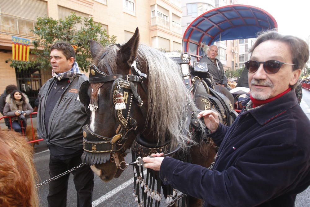 Sant Antoni en Valencia 2017