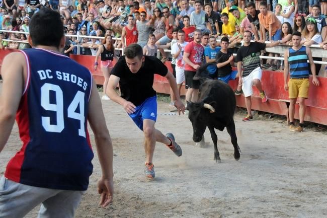 Les vaquetes de la festa major de Santpedor