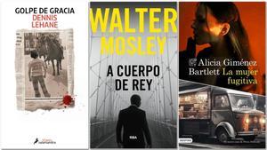 Guía de 25 novel·les negres per estrenar el 2024