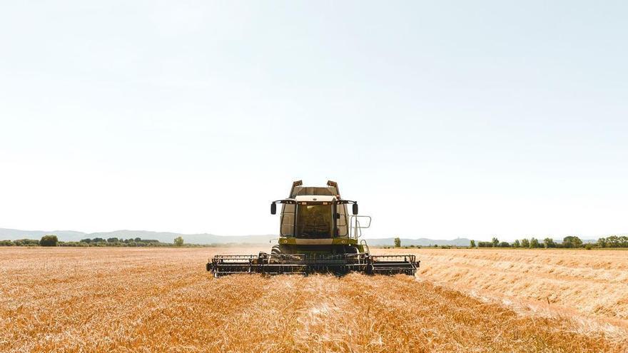 El cultivo de la cebada se extiende por Galicia: Hijos de Rivera se alía con 27 agricultores de A Limia y alcanza las 850 hectáreas