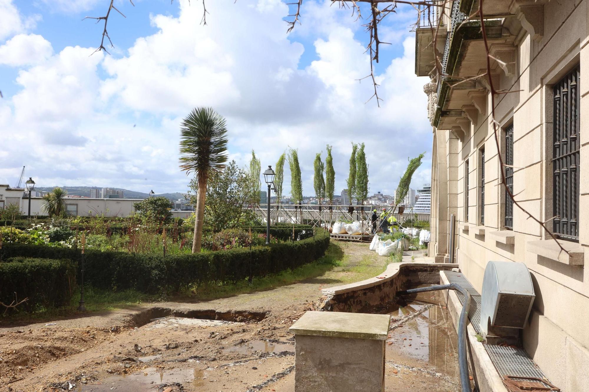 Plantación de los nuevos olmos del Jardín de San Carlos