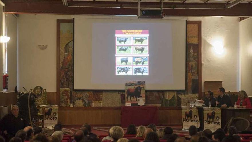 Presentación de los festejos taurinos de la Semana Grande de 2016.