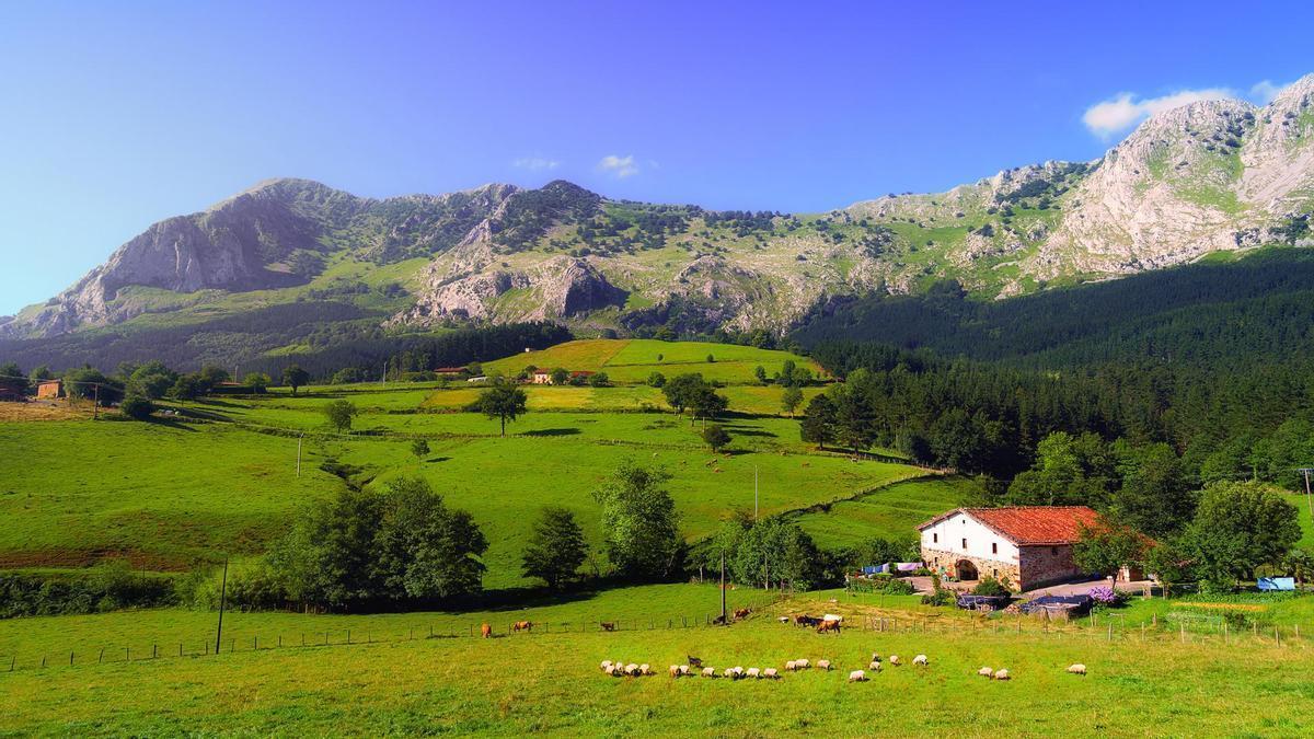 Enclavado entre montañas, este asador opera bajo la dirección del mejor parrillero del mundo.