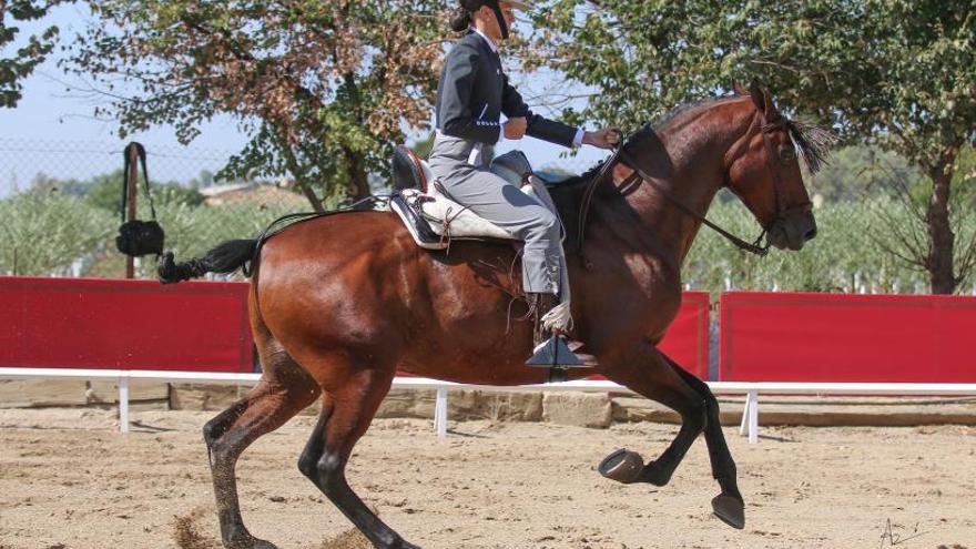 Se celebra el Campeonato de España de menores de vaquera