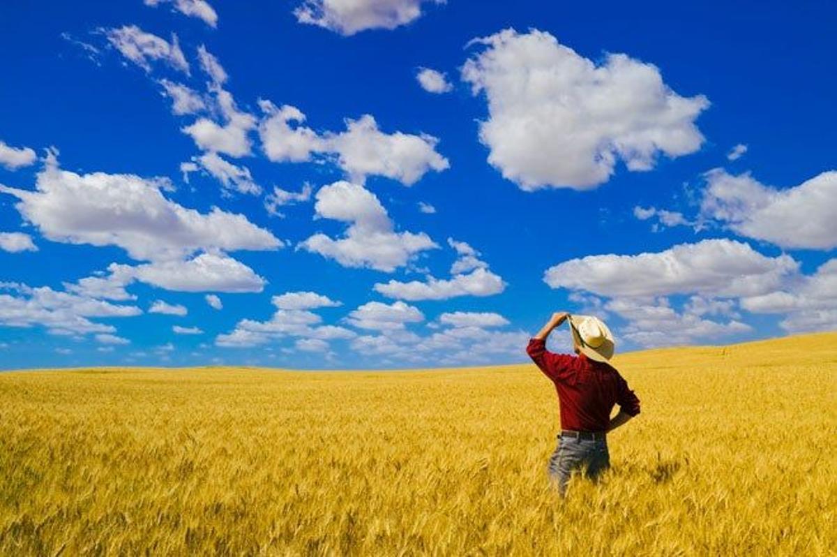 Paisaje de la provincia de Saskatchewan, Canadá.