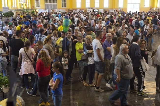 Fiesta de la Freasa en Valsequillo con concurso ...