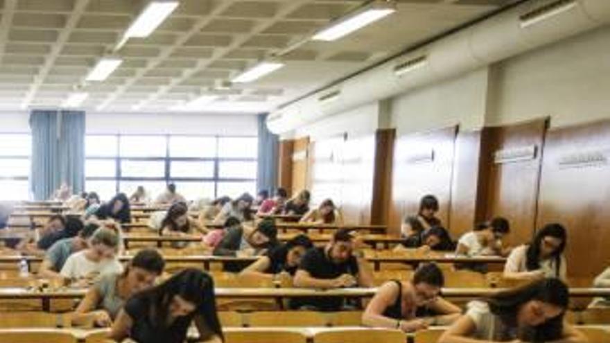 Estudiantes de la Universidad de Alicante.