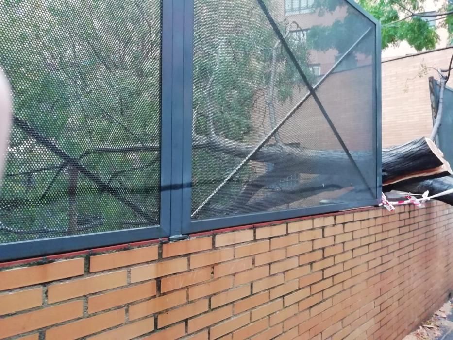 Desperfectos del temporal en el barrio de San Isidro en València.