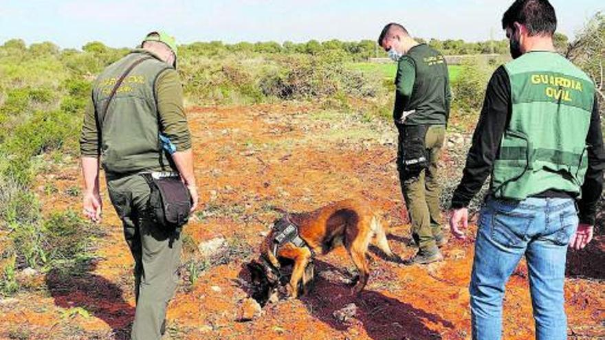 Una patrulla del Seprona en busca de cebos con veneno. 