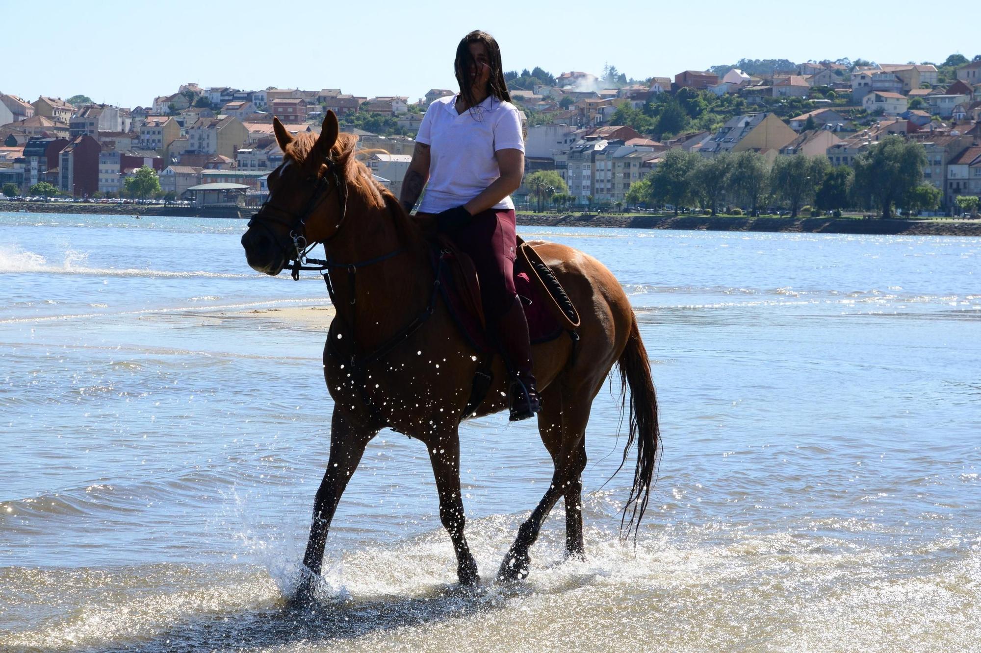 Una espectacular jornada a caballo por Moaña (I)