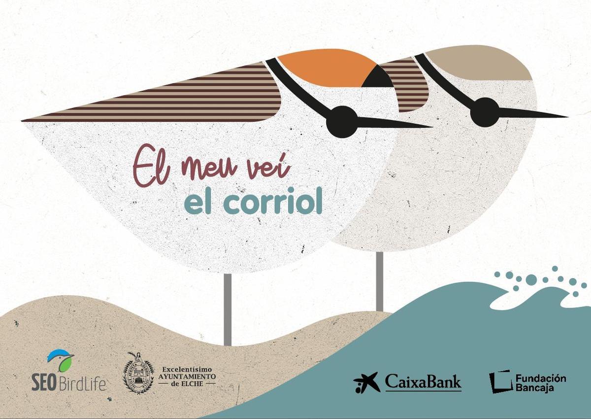 Imagen de la campaña por la conservación del chorlitejo patinegro