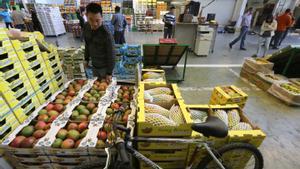 Barcelona (Barcelones) 04/06/2013 Economia Ambiente en el mercado de frutas y hortalizas de Mercabarna. Paradas de frutas de temporada y/o exòticas. Foto DANNY CAMINAL