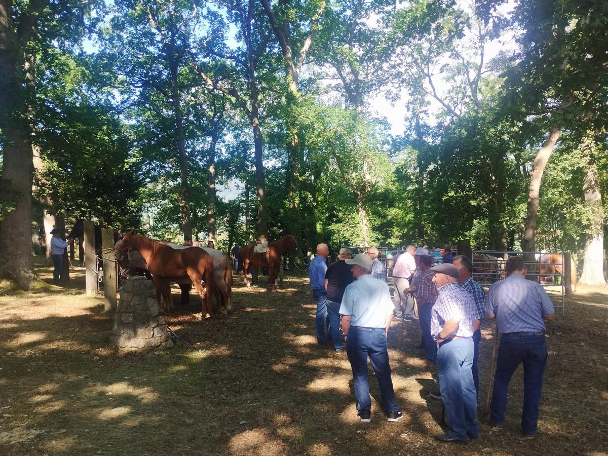 La feria sin vacas de San Pedro de Mallecina, en Salas, en imágenes