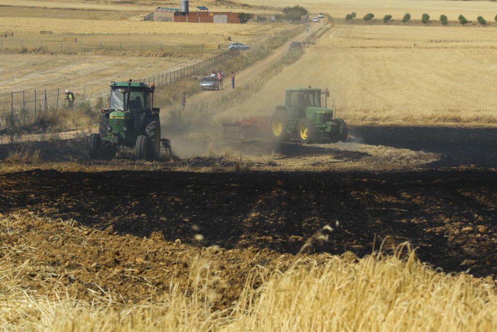 Incendio de una nave ganadera en Sanzoles