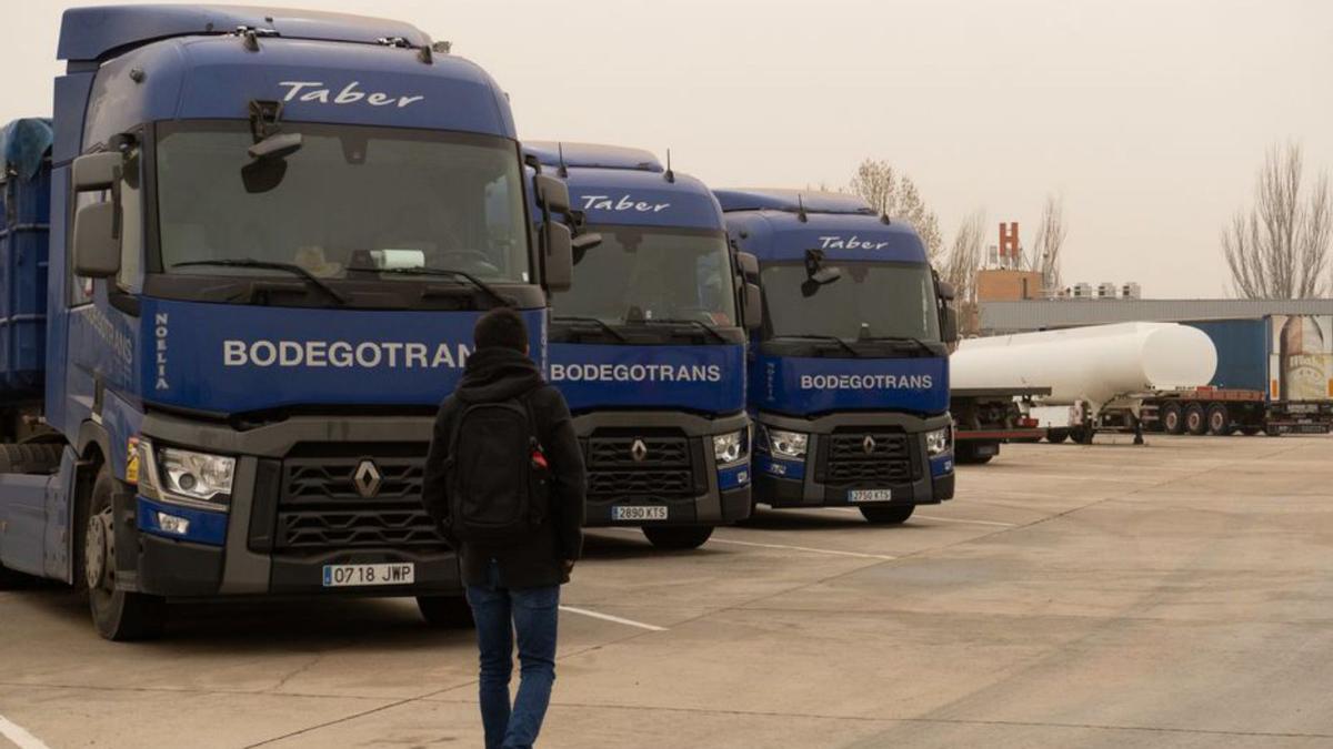 Algunos de los camiones estacionados en el Centro de Transportes de Zamora.