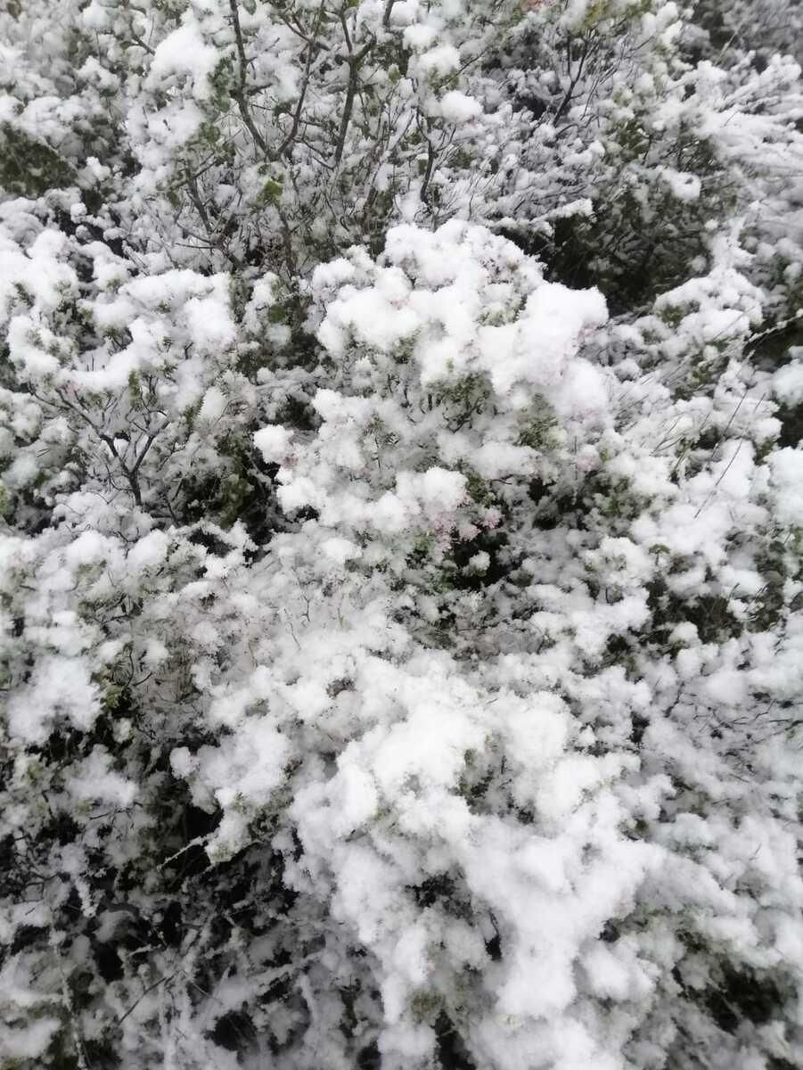 Las mejores imágenes de la borrasca Filomena en Castellón