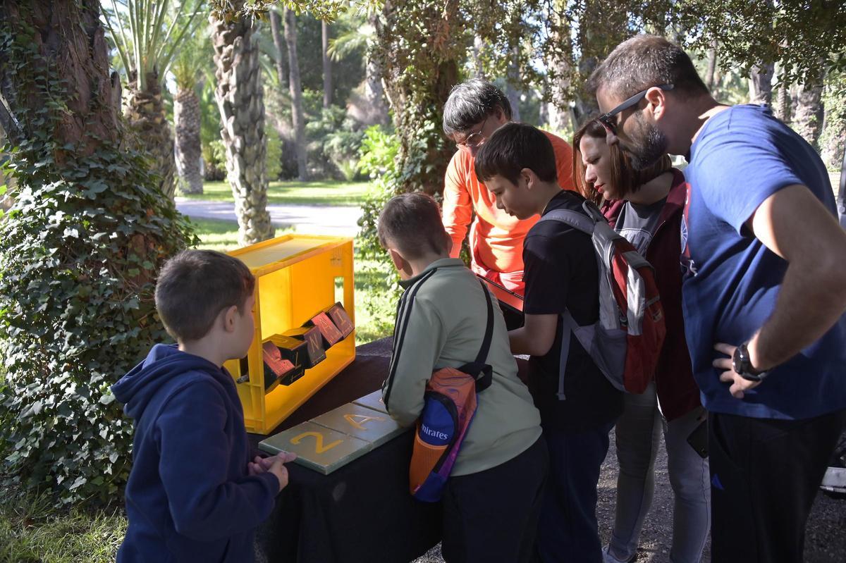 Así ha sido el scape room para reivindicar el Palmeral de Elche