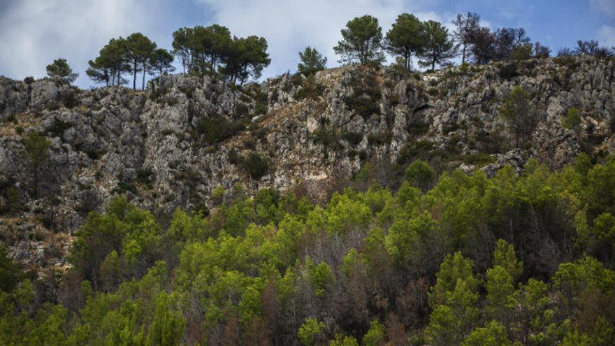 El barranc de L´Infern, un desfiladero en las entrañas del río Girona