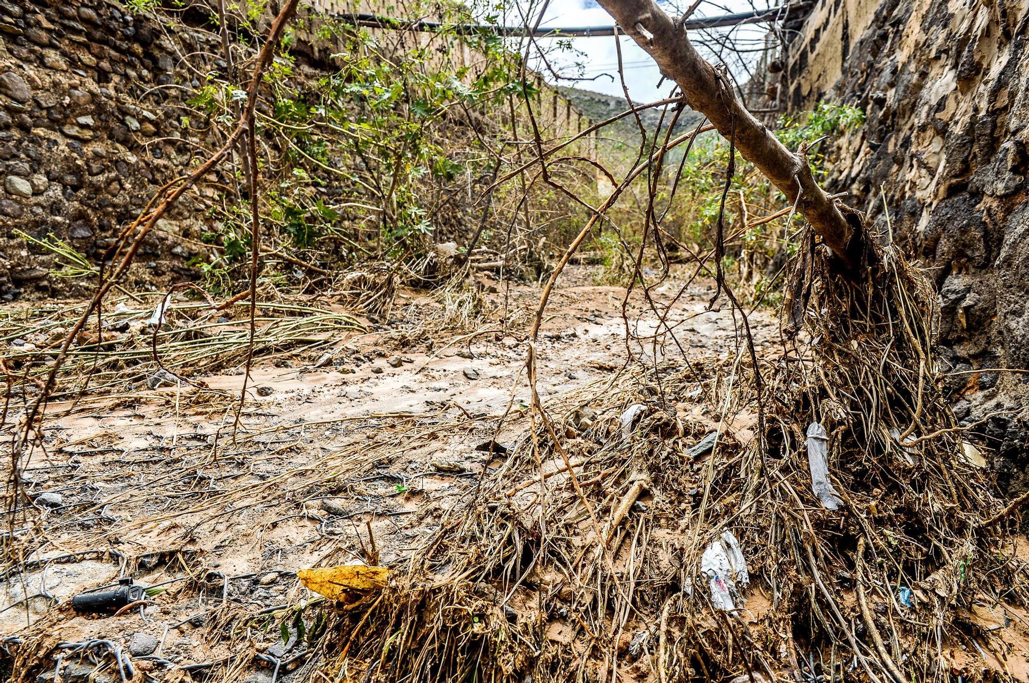 Barrio de Cañada Honda tras el paso del temporal Hermine