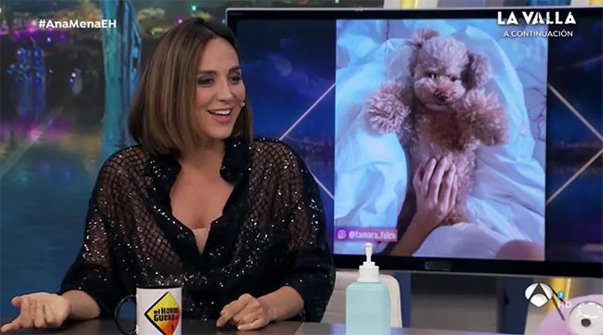 Tamara Falcó en 'El Hormiguero' muestra una foto de su perro Jacin