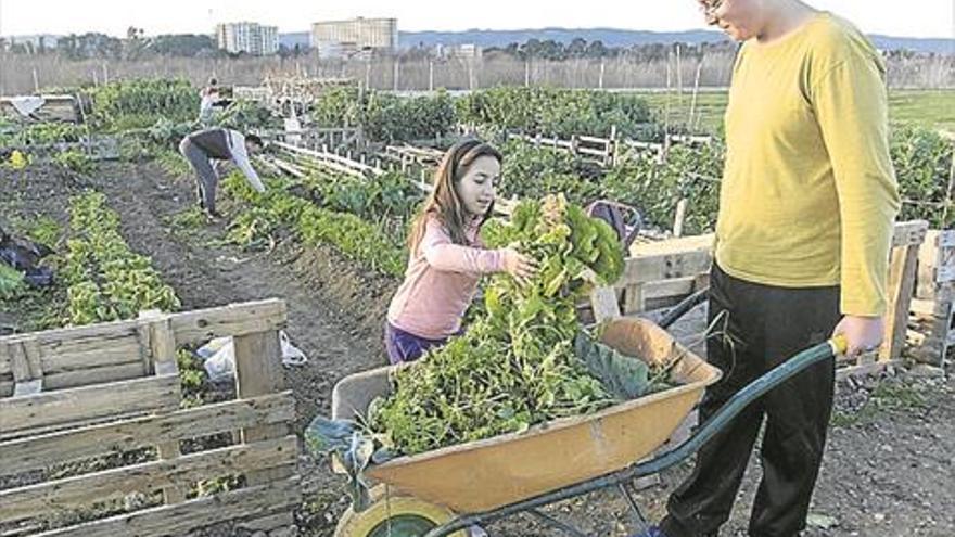 Un oasis ecológico en plena ciudad