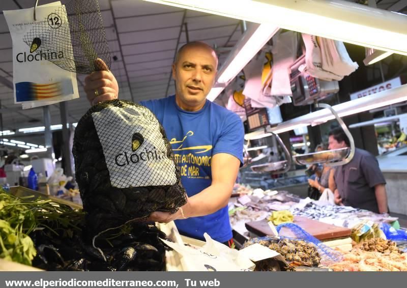 De compras en el Mercado Central de Castellón