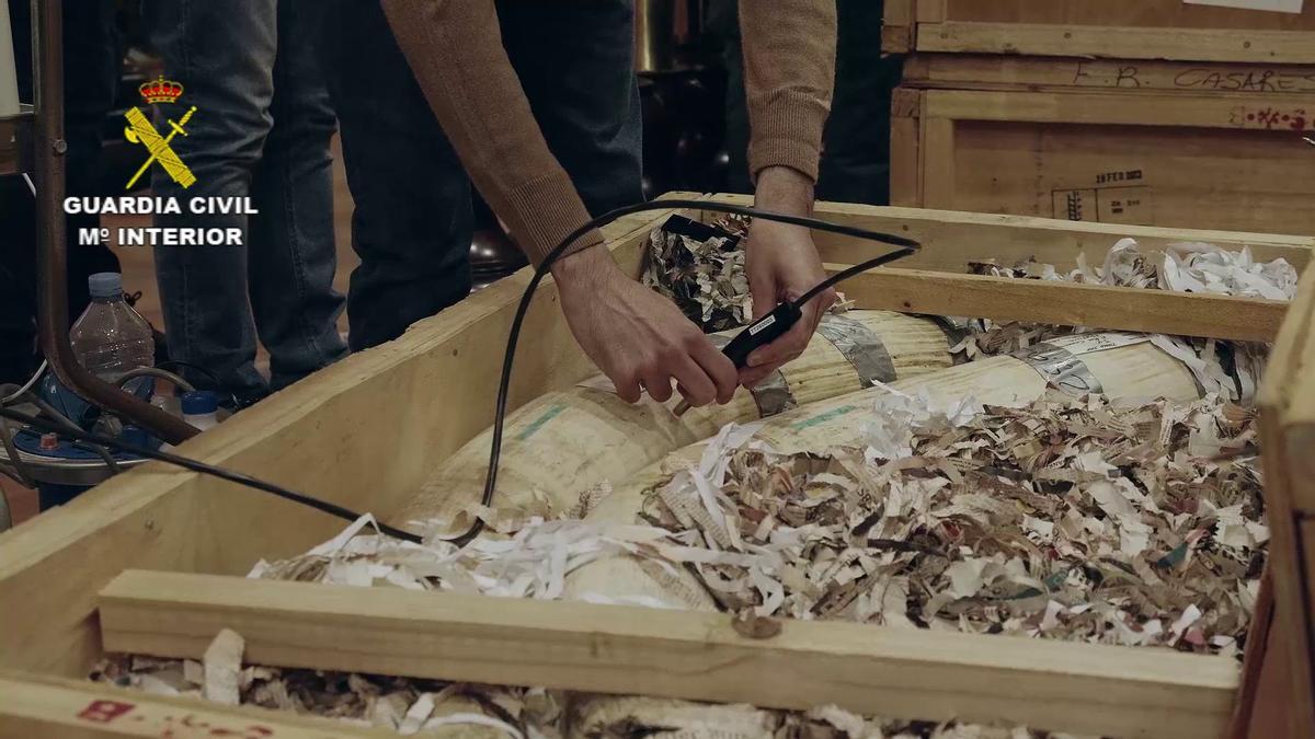 FOTOS | Las imágenes de la colección de animales disecados hallada en Bétera, la más grande de España FOTOS | Las imágenes de la colección de animales disecados hallada en Bétera, la más grande de España