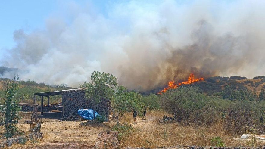 Incendio en el norte de Tenerife, en el municipio de El Tanque