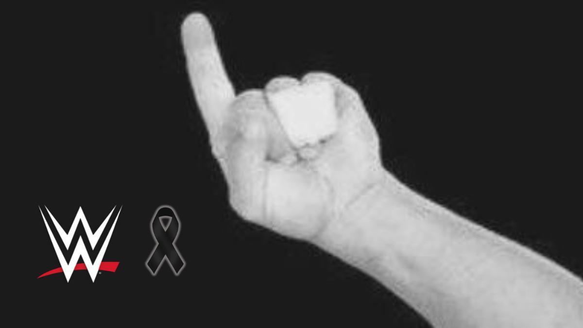 La WWE llora la muerte de un luchador 迆nico.