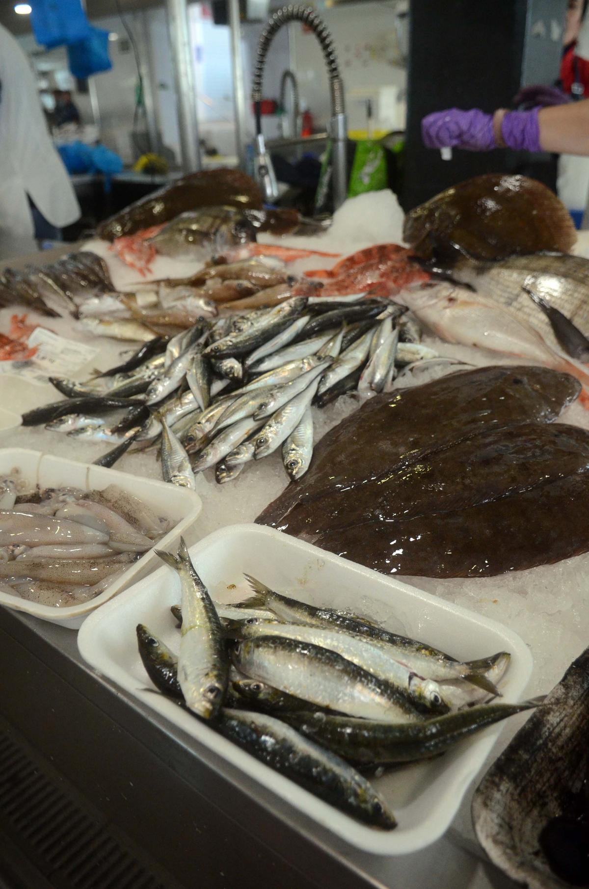 Sardinas, chinchos, chipirón, lenguado y otros productos, ayer.