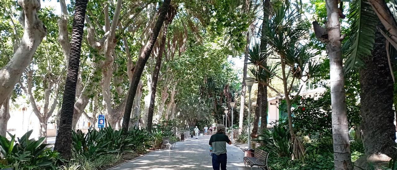 Un rincón del Parque de Málaga, esta semana.