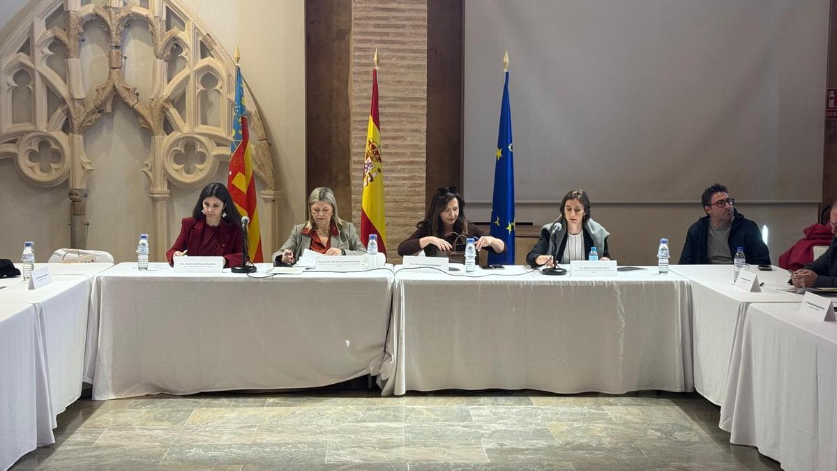 La consellera de Cultura, Carmen Ortí, preside la reunión del Consejo Rector.