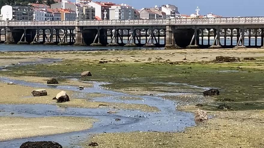 De estandarte del turismo a cloaca (en pleno agosto)