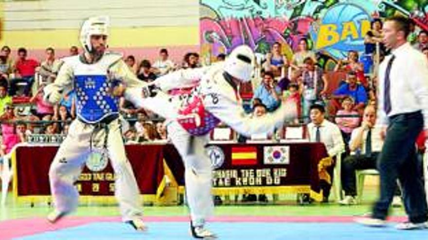 El torneo de la Diputación de Cáceres de taekwondo, un éxito