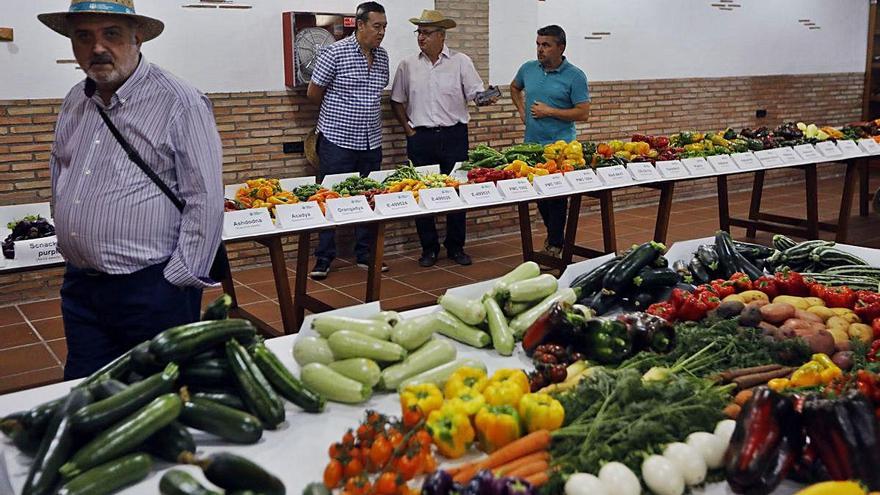 Productos agrícolas del Centro de Experiencias de Cajamar en Paiporta