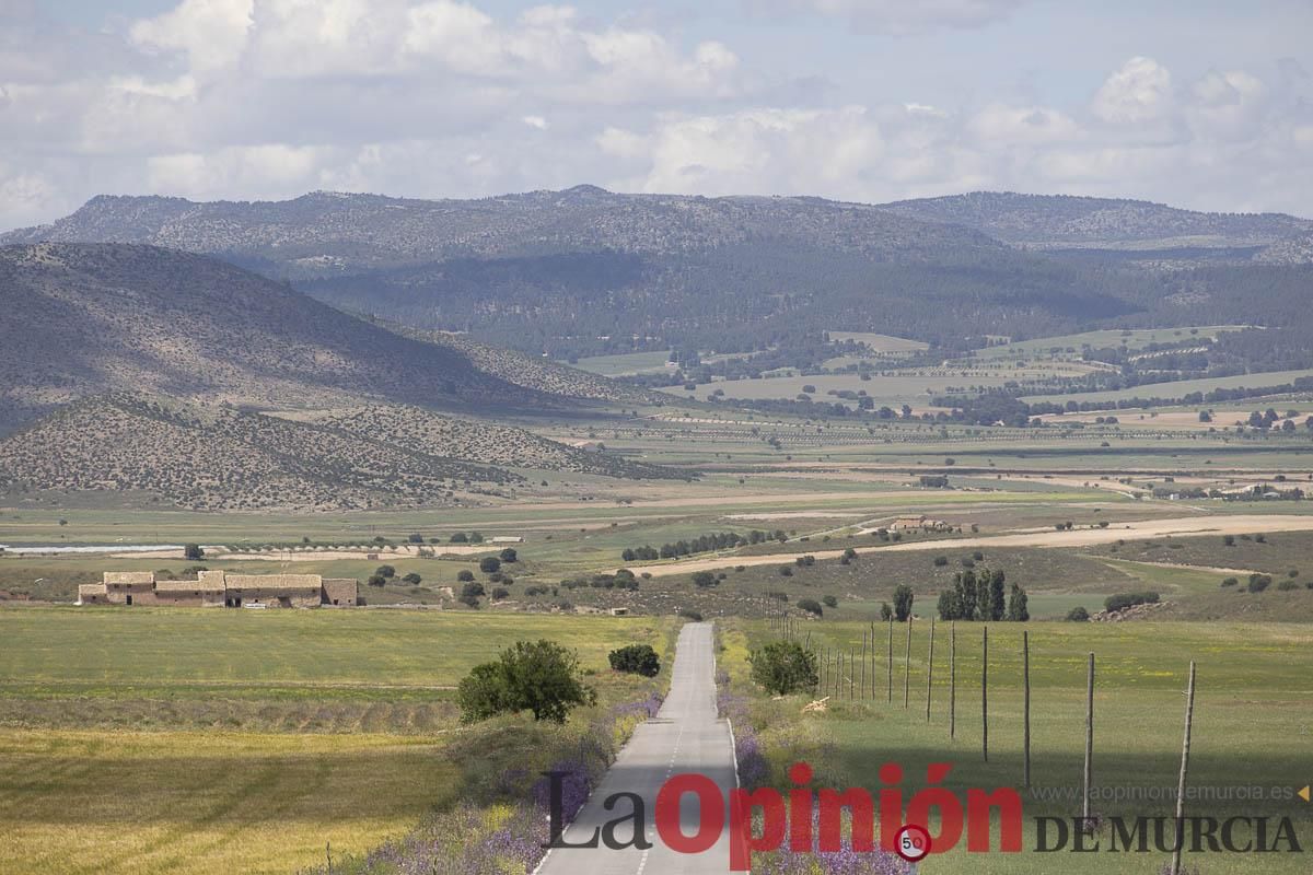 Romería de San Isidro en los Poyos de Celda de Caravaca