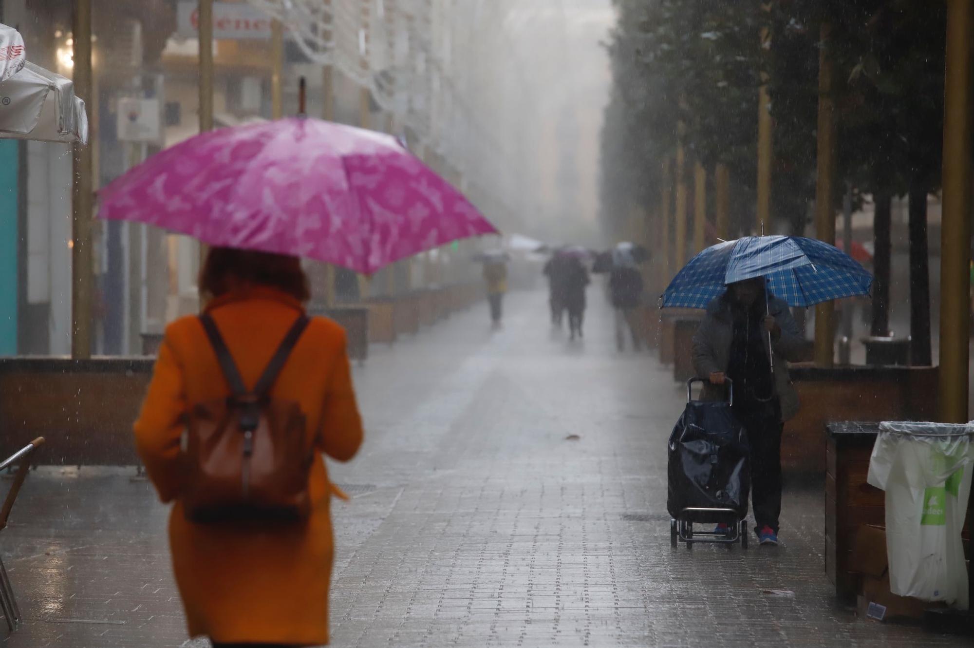 Caen en Córdoba más de 40 litros en doce horas